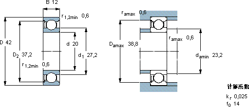  6004-Z*